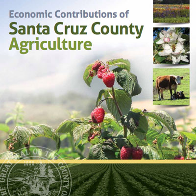 Economic Contributions of Santa Cruz County Agriculture report.