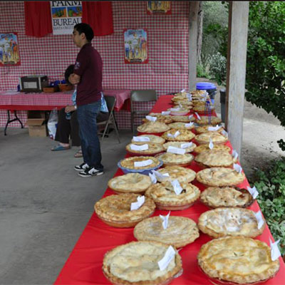 apple pie baking contest